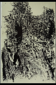 ohne Titel, 2008, Chinatusche, Rohrfederzeichnung, Japan Papier (Buetten), 97,0x 64,2 cm (WV 02380).jpg